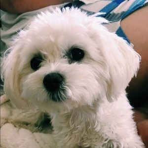 Meet your Posher, Corinne